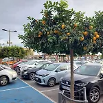 Espana - Punta Prima Orihuela Costa - Large For 6-people 85m2 And Terrace 40m2 Air Conditioning Wi-fi Living Kitchen 2 Bedrooms 2 Bathrooms 3 Swimming Pools Parking Security To The Sea 200m Only 40 Min To The Airport Διαμέρισμα Τορεβιέχα