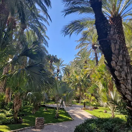 España - Punta Prima Orihuela Costa - Large For 6-people 85m2&terrace 40m2 Air Conditioning Wi-fi Living Kitchen 2 Bedrooms 2 Bathrooms 3 Swimming Pools Parking Security To The Sea 200m Only 40 Min To The Airport Apartamento *