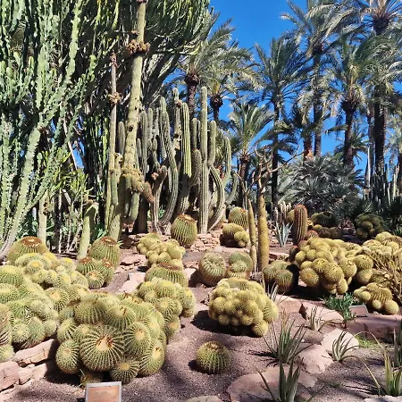 شقة Espana - Punta Prima Orihuela Costa - Large For 6-people 85m2 And Terrace 40m2 Air Conditioning Wi-fi Living Kitchen 2 Bedrooms 2 Bathrooms 3 Swimming Pools Parking Security To The Sea 200m Only 40 Min To The Airport تورّيفيِخا