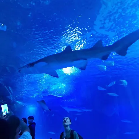 Espana - Punta Prima Orihuela Costa - Large For 6-people 85m2 And Terrace 40m2 Air Conditioning Wi-fi Living Kitchen 2 Bedrooms 2 Bathrooms 3 Swimming Pools Parking Security To The Sea 200m Only 40 Min To The Airport شقة *