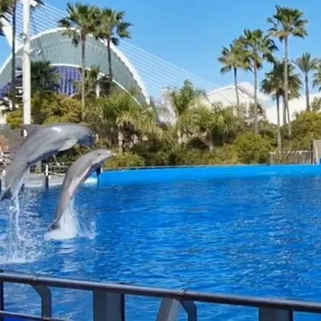 Lejlighed Espana - Punta Prima Orihuela Costa - Large For 6-people 85m2 And Terrace 40m2 Air Conditioning Wi-fi Living Kitchen 2 Bedrooms 2 Bathrooms 3 Swimming Pools Parking Security To The Sea 200m Only 40 Min To The Airport *