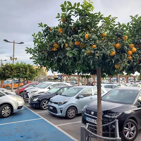 Espana - Punta Prima Orihuela Costa - Large For 6-people 85m2 And Terrace 40m2 Air Conditioning Wi-fi Living Kitchen 2 Bedrooms 2 Bathrooms 3 Swimming Pools Parking Security To The Sea 200m Only 40 Min To The Airport Lejlighed Torrevieja